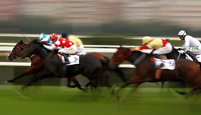 Endurance : La France championne du monde après décision du tribunal FEI 