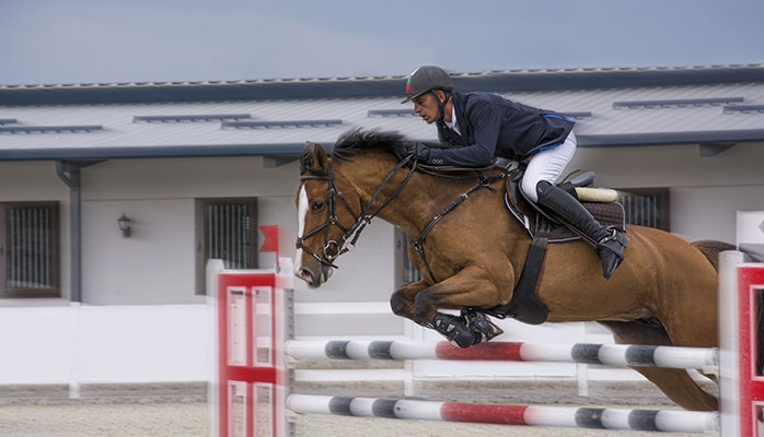 Assurez la sécurité de vos chevaux 